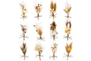 ZHITENG 10 stycken miniatyr torkade blombuketter, minibukett torkade blommor, bukett dekoration, naturlig torkad blomma för album, presentkuvert, dekorationslådor (primärfärg)