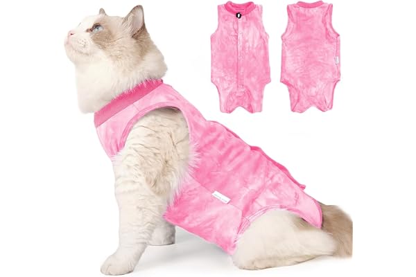 LIANZIMAU Body Chat Post Operatoire Femelle/Male Body pour Chat après Stérilisation Combinaison pour Chat Anti Lechage Collier de Récupération pour Animal de Compagnie en Alternative