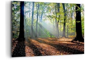 ARTTOR Lienzos decorativos 100x70cm Cuadro Sobre Lienzo Moderno Bosque Hoja Sol Grande Dormitorio Cocina Cuadros Pared Imágenes Cuadros Decoracion Salon Wall Art Prints Decor Canvas AA100x70-0136