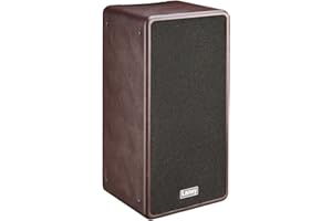 Laney A Series A-DUO - Acoustic Instrument Combo Amplifier - 120W - 2 x 8 inch Coaxial Woofers