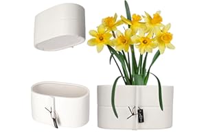 KADAX Ceramiczna donica na kwiaty, 2 kolory, ceramiczna donica na kwiaty, doniczka na kwiaty, do smoczych drzew, fioletowa, bratka (biała, 22 x 12 cm)