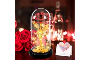 DONGQI Wieczna róża w szkle, wieczne róże, piękne i zwierzęce, zestaw róż, światła LED, sztuczne kwiaty, róże, prezent dla kobiet, na Dzień Matki, Walentynki, jubileusz