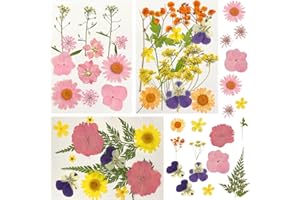 DRJCKOLOTH Fiori Secchi Naturali,Fiori pressati secchi Naturali,Veri Fiori Pressati Naturali,Fiori Secchi,Eterna Fiore,unghie Fai da Te Candele Decorazioni Scrapbooking