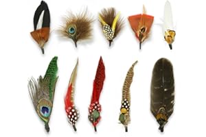 CANIPHA 10 Hat Feathers plumas de sombrero para manualidades, plumas naturales para sombreros, plumas coloridas, plumas de sombrero de vaquero para hombres y mujeres, sombreros de vaquero occidental,