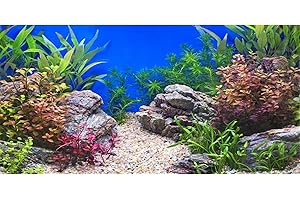 MIRRORANG 180x61cm Plante Aquatique Fish Tank Fond Pierre rivière lit & lac Aquarium Fond Vinyle