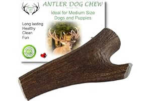 ARTISAN GIFT CO Przekąska dla psa, poroże jelenia, przekąska do żucia, 100% naturalna (M, Sarna - 1st)