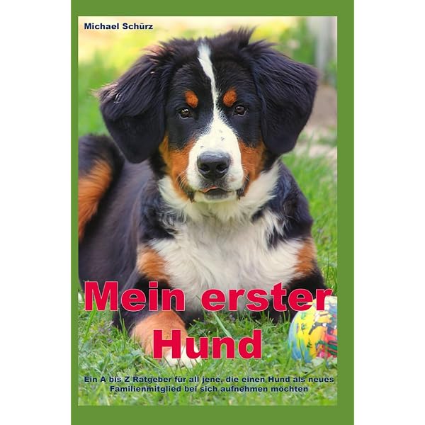 Yookidoo Babyspiegel „Erster Spiegelfreund Hund“ – Mit Beißring & Rassel – Für Kinderwagen & Bettchen