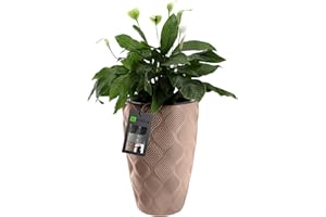 ‎KADAX KADAX Blumentopf mit Einsatz und Griffen, Pflanzkübel aus Kunststoff in 5 Größen, UV-Resistenter Topf, Wetterbeständige Pflanzvase hoch, Topf mit 3D Effekt (Beige Höhe: 58,5 cm)