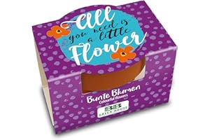 Bull & Bear Mini Pflanzset 'All you need is a little flower' mit Blumensamen im Topf 4,5cm, Bunte Blumen als Anzuchtset mit Pflegeanleitung