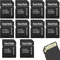 Lettori o adattatori memory card SDHC per computer | Acquisti Online su