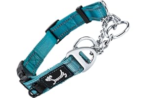 PETTOM Collare Semistrozzo Cane, Collare Cane Con Serratura di Sicurezza, Regolabile e Riflettente, Collare a Strozzo per Cani di Piccola, Media e Grande Taglia (M, Blu)