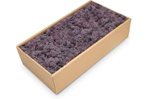 NaDeco Islandmoos in Natur und 30 weiteren Farben zur Auswahl | Deko-Moos | Rentier-Moos | Reendier Moos | Bastel-Moos | Dekomoos | Moos-Deko, Farbe:Lila