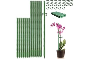 BEST ZOIKOM Supporto per piante40*1.1cm, 20 supporti per piante, con 20 moschettoni, con 10 tubi di prolunga, pomodori, piante da appartamento, supporto per piante
