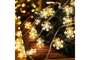 Wishstar Śnieżynka Fairy Lights, 6M 40LED Łańcuch świetlny na Boże Narodzenie
