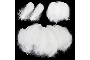 DNDGDLUA Paquet De 600 Plumes Blanches Artisanales, Plumes Pour Travaux Manuels, Plumes D'Oie Naturelles, Pour Attrape-RêVes, Mariages Et Projets D'Artisanat, Costumes, Sacs, DéCoration De Boucles D'Oreilles