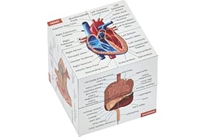 KITS OF MEDICINE Cubo di studio sull'anatomia umana | Studio 9 parti del corpo umano | Guida perfetta per la revisione dell'anatomia | Ottimo regalo per infermieri, studenti di medicina | IN INGLESE