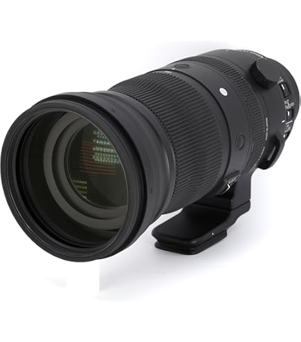 Nikon AF-S Nikkor 200-500MM F/5.6E ED VR Lens (Black) : NIKON