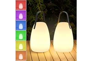 FUYO 2 Pcs Lampe extérieur LED Lampe de table sans fil portable Lampe de table rechargeable à intensité variable avec multicolore Lampe de jardin pour l'extérieur BBQ Jardin Bar Terrasse
