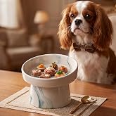 Seramik Mama Kabı - Kedi ve K&ouml;pekler i&ccedil;in Sağlıklı Mama Kasesi - Ayaklı,Y&uuml;kseltilmiş, Kaymaz Mama Kabı (Yeşil)