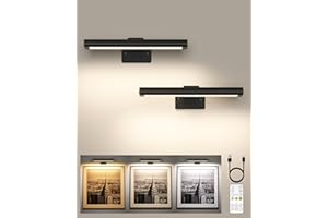 EZVALO Picture Light for Wall, Rechargeable 2400mAh Battery Lights Wireless Remote, Dimmable Magnetic LED Art Painting Light with 3 Color Temperatures, Display for Gallery, Living Room, Hallway