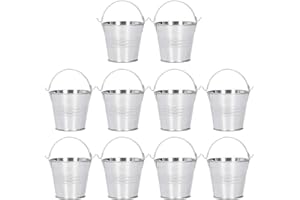 Longzhuo Maceta, 10PCS Maceta de Flores Mini Maceta de Plantas suculentas Cubo de Metal pequeño para decoración Interior y Exterior(D)