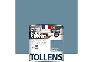 Tollens Peinture extérieure multisupport - Ultra résistante Haute qualité - Satin - Bleu Iceberg - 2L = 28m2