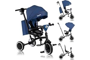 LIONELO Tris Plus Tricycle Multifonctionnel de 9 Mois à 5 Ans jusqu'à 25 kg, Poussette bébé, Grandes Roues en PU Siège Pivotant Dossier Réglable à360° Réglage Dossier sans Outils