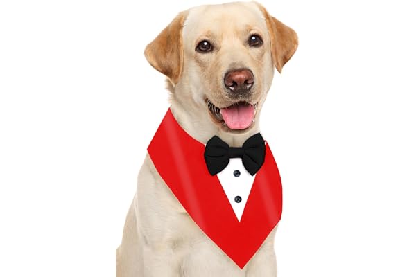Killerwhale Dog Bandana Tuxedo, Ideal for Dog Birthday Decorations, Adorable & Comfortable Pet Apparel (M, Red)
