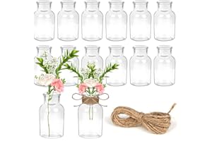 YSWOVUO Lot de 12 Petit Vase en Verre, 125ml Mini Vase avec Ficelle de Jute, 5.5x10.3cm Vase Transparent, Vase Decoratif pour Deco Table Mariage Maison Anniversaires Fêtes, Lave Vaisselle