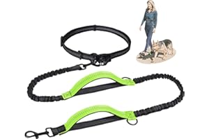 Snocyo Guinzaglio da Jogging per Cani di Taglia Media e Grande, Elastico e Riflettente, Guinzaglio Retrattile con Doppio Manico e Cintura in Vita