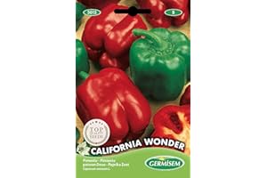 Germisem graines Poivron doux CALIFORNIA WONDER