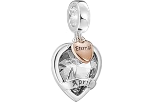 AMATOLOVE Jan-Dec Birthstone Charms for Bracelets Happy Birthday Bead Charm Gifts for Women Girls,Brilliant Round Heart Shape CZ for Choice