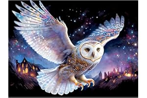 QIUQI 5D Diamond Painting Chouette,Kit Peinture Diamant Adulte Enfant,Peinture Broderie Diamant Kit Complet,Diamond Painting Strass pour Décoration D'intérieur,Cadeau d'noël