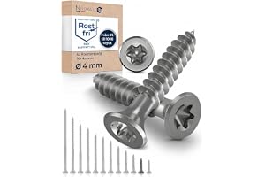 Träskruvar i Rostfritt Stål A2 – Försänkt Huvud Torx TX20 – Helgängade – 4 x 20 mm – 100 Pack – Universalskruvar för Trä