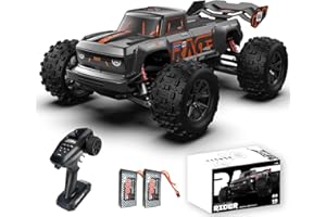 dexinco Ferngesteuertes Auto, 1:16 Hobby RC Auto, 40 km/h Ferngesteuerter Hochgeschwindigkeits-LKW, 4WD Offroad Monster RC Truck, All Terrain IPX4 Wasserdicht RTR RC Buggy, RC Crawler mit 2 Akku