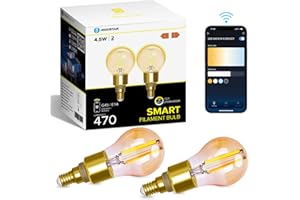 Aigostar Alexa Glühbirne E14, Smart LED Vintage Lampe, Smarte Glühbirne G45 Bernstein Globe, 4.5W 470LM, Warmweiß Dimmbar 2700K -6500K, Kompatibel mit Alexa und Google Home, 2 Stücke