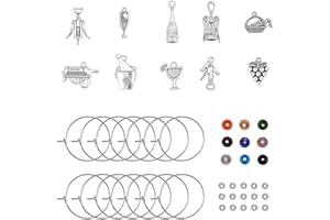PandaHall Elite - 120pcs Thème de la Bouteille Kit de Breloques en Verre à vin, Anneaux de Verre à Vin Fournitures de Décoration de Fête de Dégustation de Vin