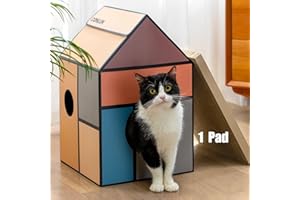 Conlun Maison pour Chat en Carton avec Griffoir et Herbe à Chat, Facile à Assembler, Idéale pour Décorer Votre Intérieur, Parfaite comme Cadeau d'anniversaire pour Votre Félin