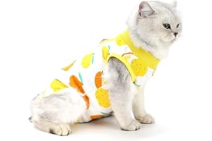 PAIDEFUL Tutina Post Operatoria Gatto Tuta da Recupero per Gatti Cani Body Cane Femmina Coni Alternativi Vestiti per Pulizia della Pelle Ferite Impedire Cura Leccata Dopo l'uso Chirurgico Limone M