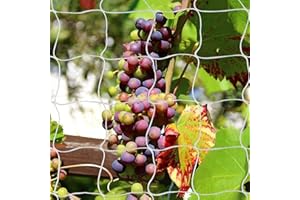 WUJUN Plant Support Climbing Garden Trellis Netting Grow Tents 5Ft x 30Ft, Heavy-Duty Polyester Garden Plant Climbing Net Soft Mesh Twine