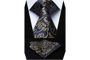 HISDERN Męski krawat paisley chusteczka ślubna krawat i poszetka zestaw