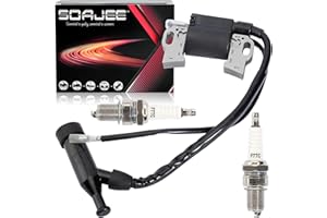 SOAJEE Bobina di accensione compatibile con Champion Power 196cc 6.5HP 3500 4000 Watt Generatore 40008 40026 46514 46515 46516 46517 46535 46539 46540 46551 46553 43 4 4 6554 46555 46558 46561 46596