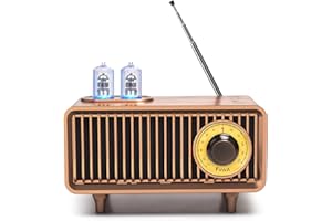 COLSUR Retro Radio Bluetooth Lautsprecher Tragbarer Vintage Radio FM Küchenradio Wiederaufladbarer Kabelloser mit Klassischem Retro-Stil Unterstützt TF-Karte/AUX/USB MP3-Player mit 1500mAh Akku
