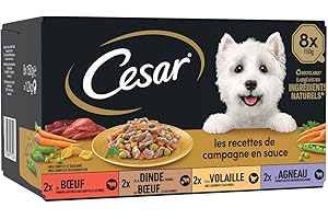 CESAR Repas pour Chien - 24 Barquettes (Lot de 3 Packs 8x150g) - Pâtée pour Chien en Sauce - Boeuf / Poulet / Agneau / Dinde - Nourriture Complète & Equilibrée avec des Ingrédients Naturels