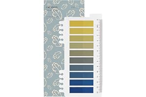 ‎ORDINATE Ordinate 200 Stück Sticky Notes, Transparent Haftnotizen zum Markieren, Haftstreifen, Seitenmarkieren, Ästhetischer Haftnotizzettel, Full Color of Gradient (G-200 Stück Sunflower Sky)