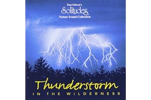 Thunderstorm In Wilderness