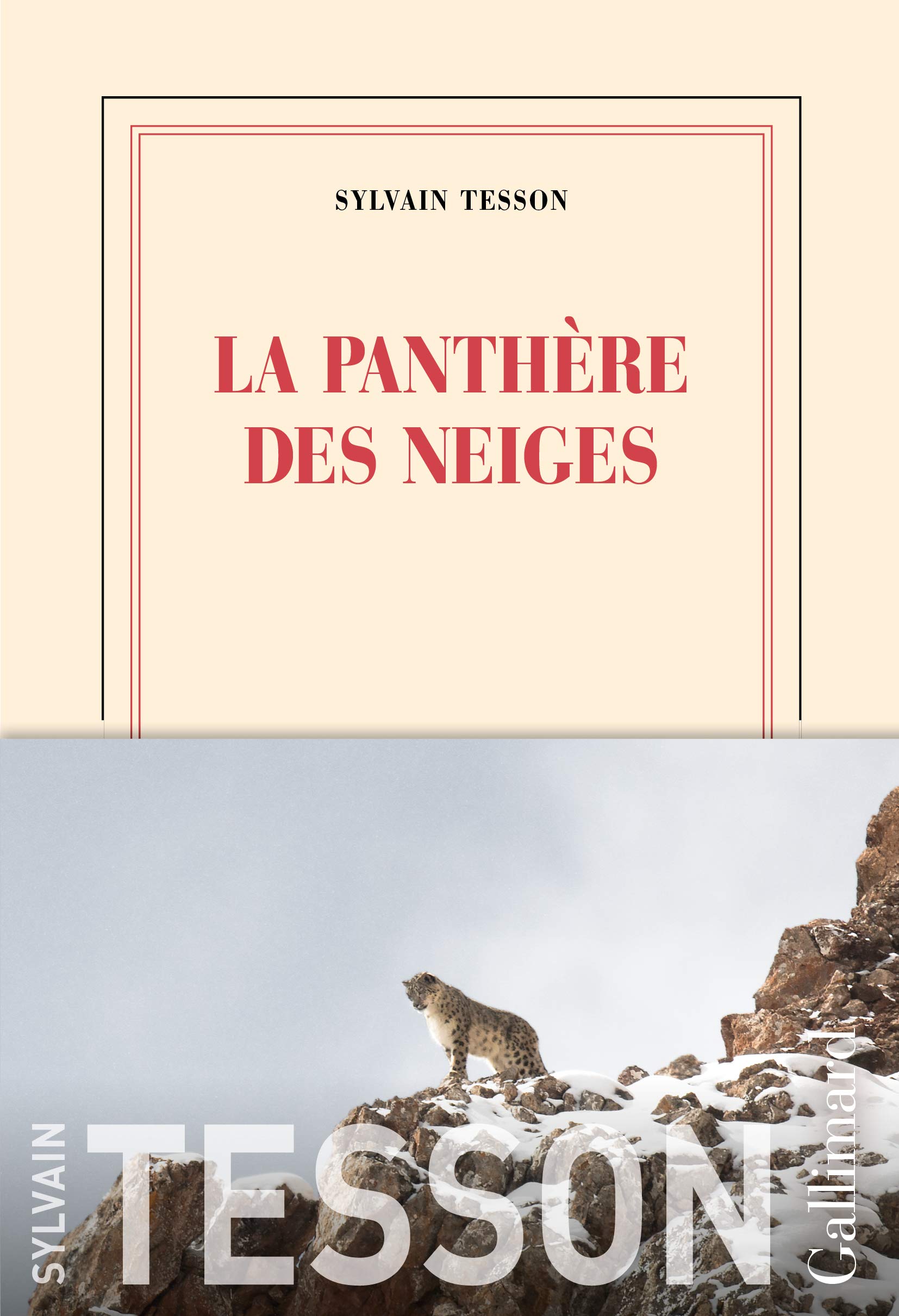 Livre La Panthere Des Neiges Vincent Munier La panthère des neiges – Prix Renaudot 2019 | Les livres