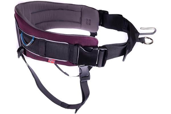 DOG Copenhagen Non-Stop Ceinture Trekking pour Randonnée/Canicross 1 Unité, violet