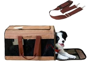 BELLA & PAL Katzentransportbox Für große Katzen und Welpen–Leichte faltabre Transporttasche Katze- Ausbruchsichere, Wasserdicht & Kratzfestem Netz, 50x31x31cm bis 10kg Für Tierarzt/Auto/Flugzeug
