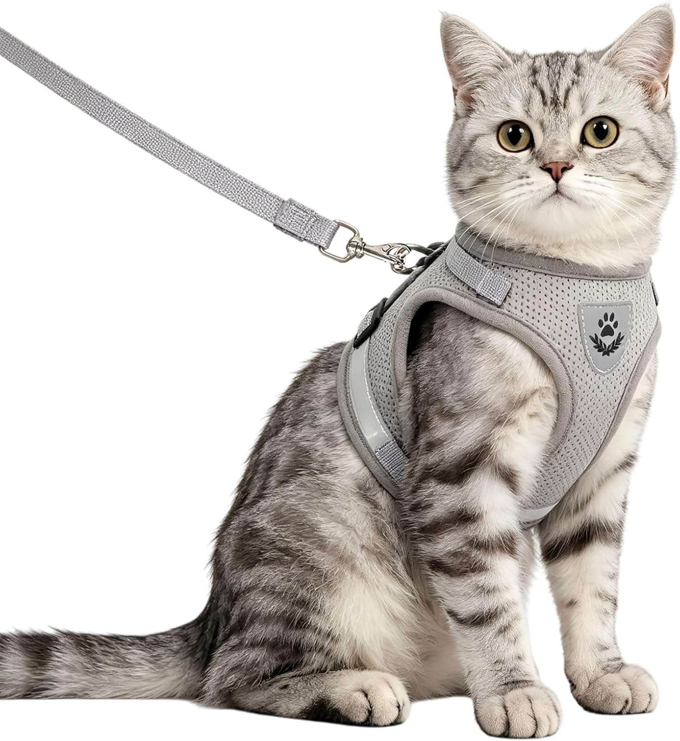 Anlitent Soft Mesh No Pull Cat Harness and Lead Set for Walking, Escape Proof Kitten Vest Harnesses for Small Dogs/Cats/Animals Rabbit, Cool Cat Dog Collar with Leash (Grey, X-Small)
